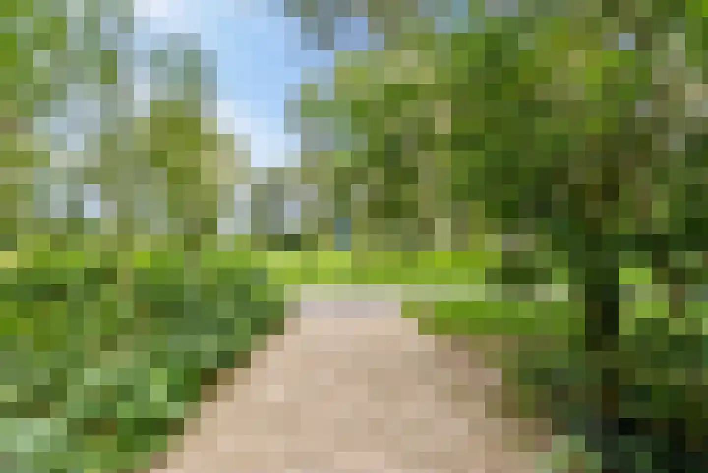 Wilgengriend 155 Almere thumbnail 39