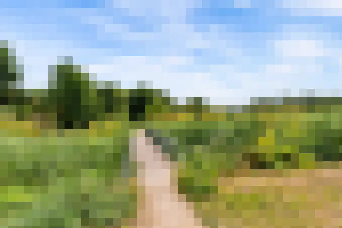 Wilgengriend 155 Almere thumbnail 42