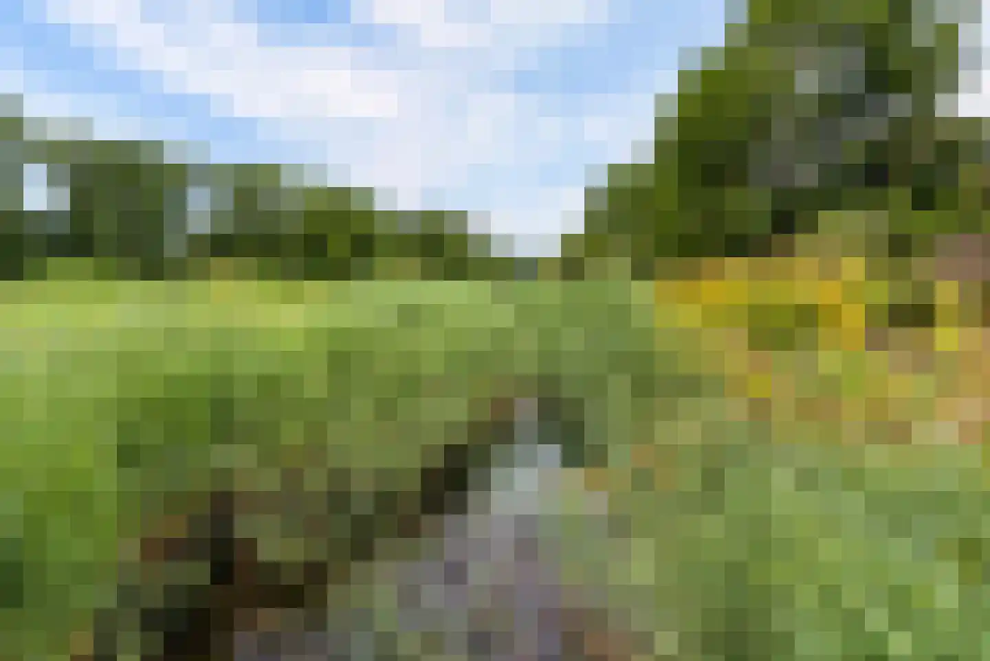 Wilgengriend 155 Almere thumbnail 43