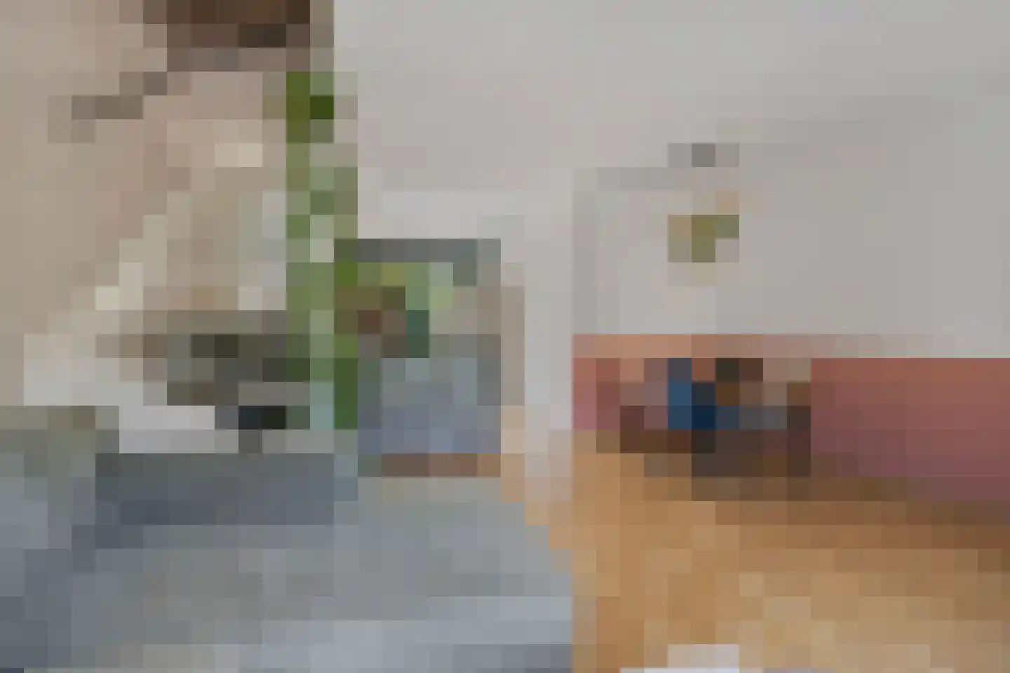 Wilgengriend 29 Almere thumbnail 13