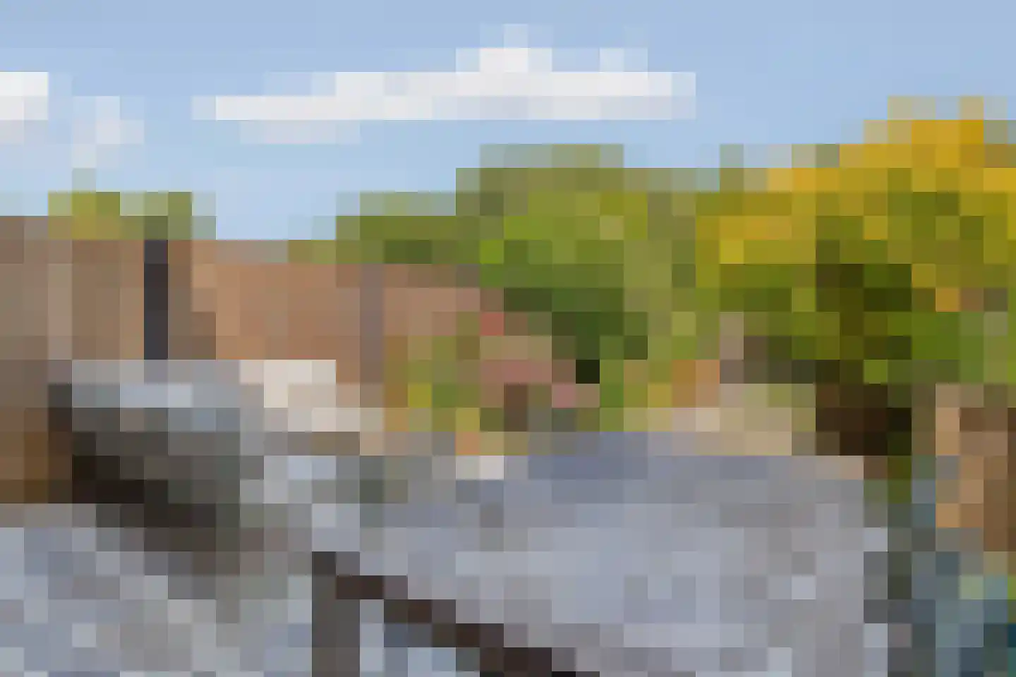 Wilgengriend 29 Almere thumbnail 42
