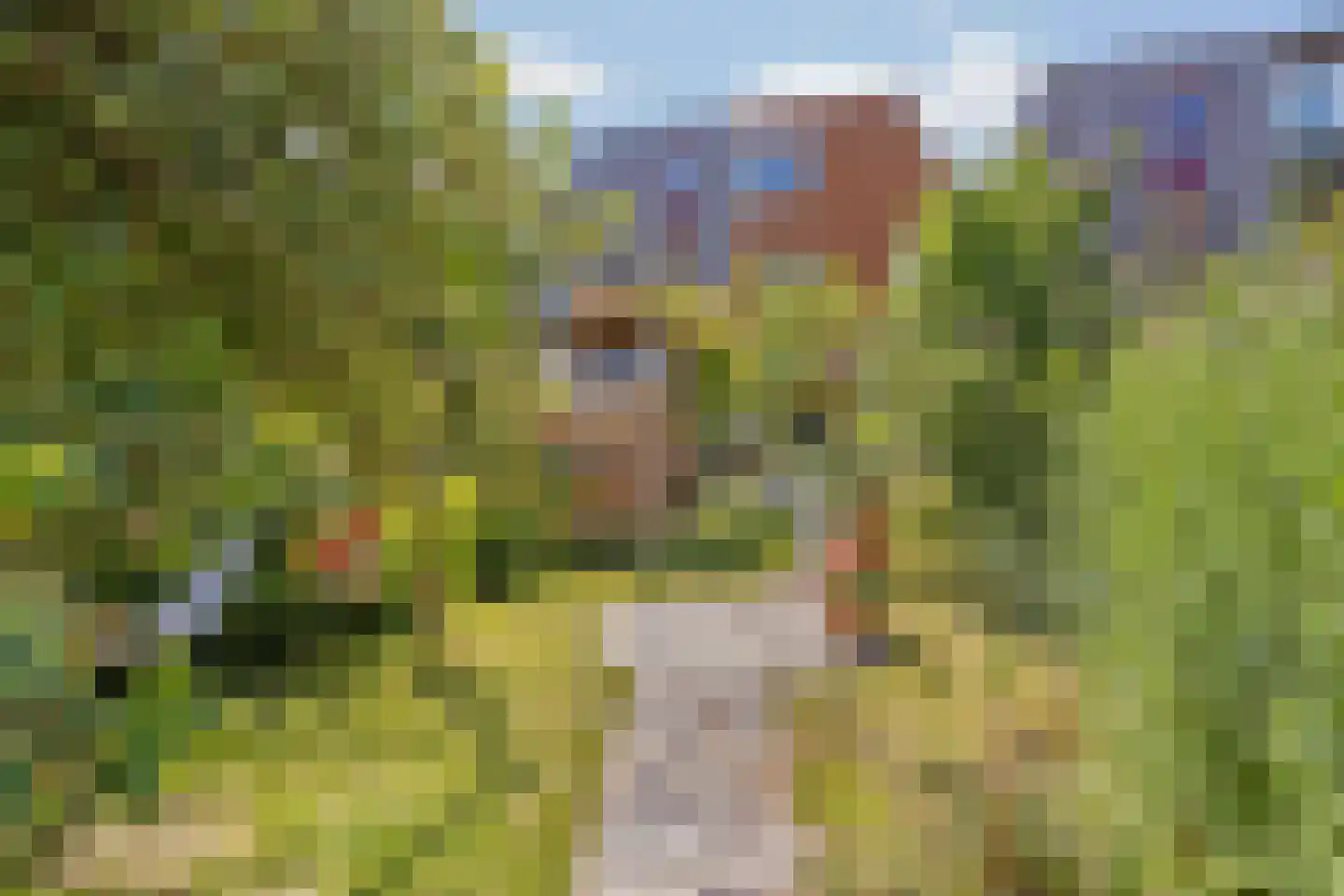 Wilgengriend 29 Almere thumbnail 43