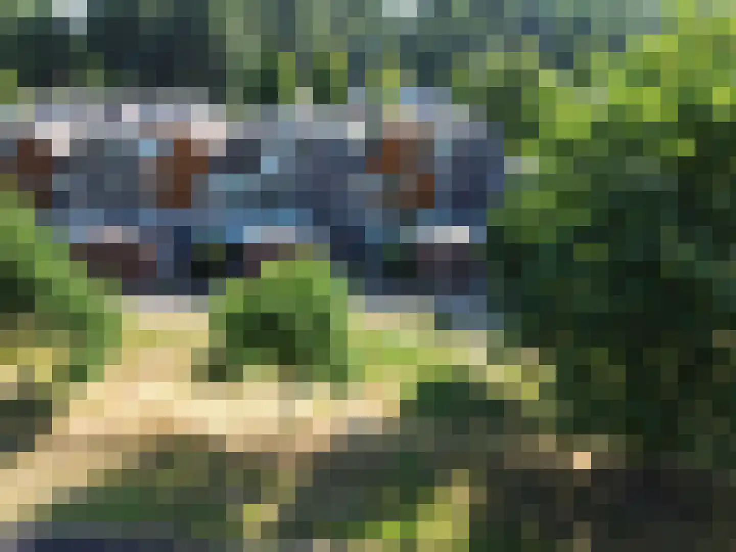 Wilgengriend 29 Almere thumbnail 48