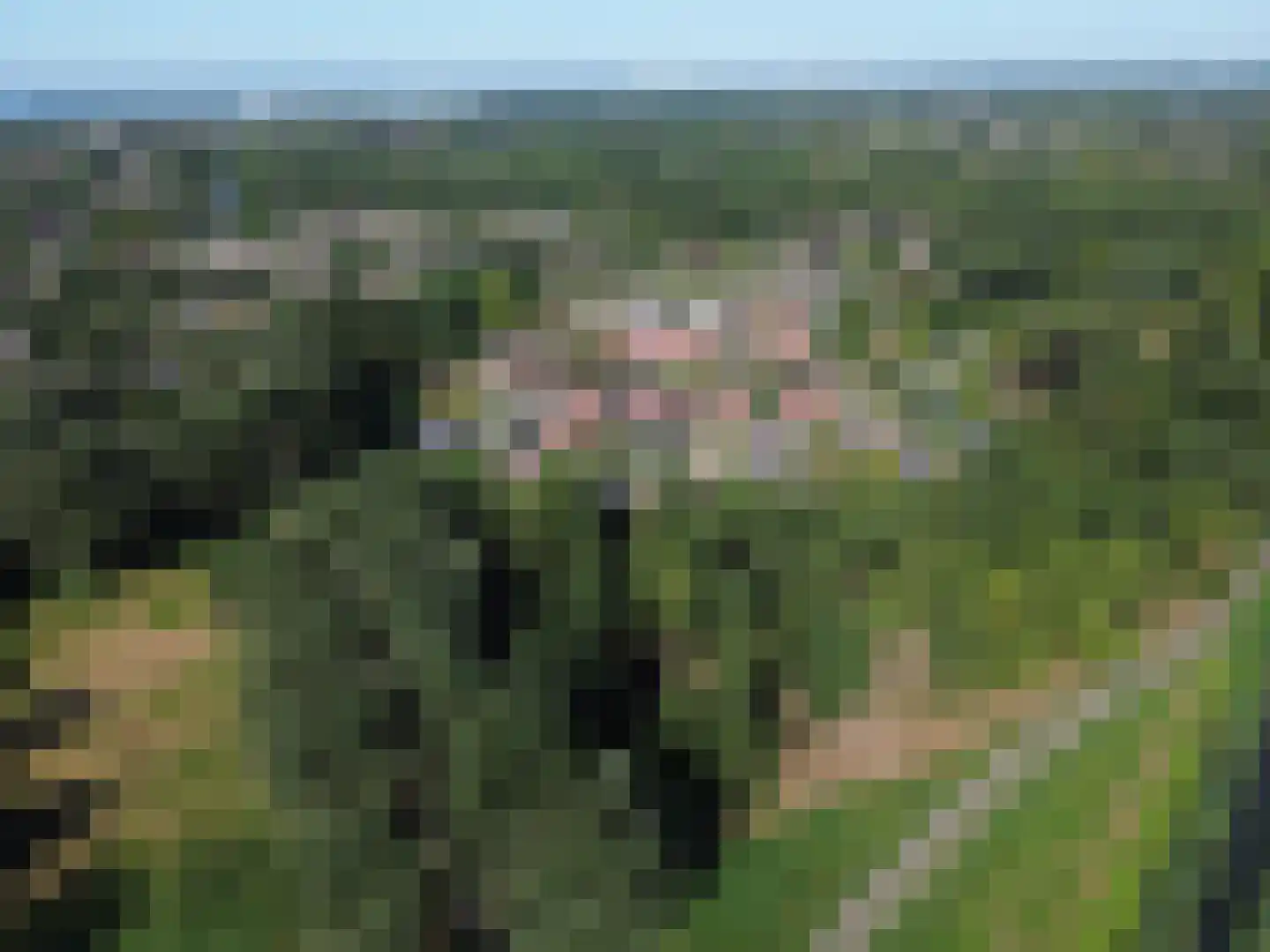 Wilgengriend 29 Almere thumbnail 50