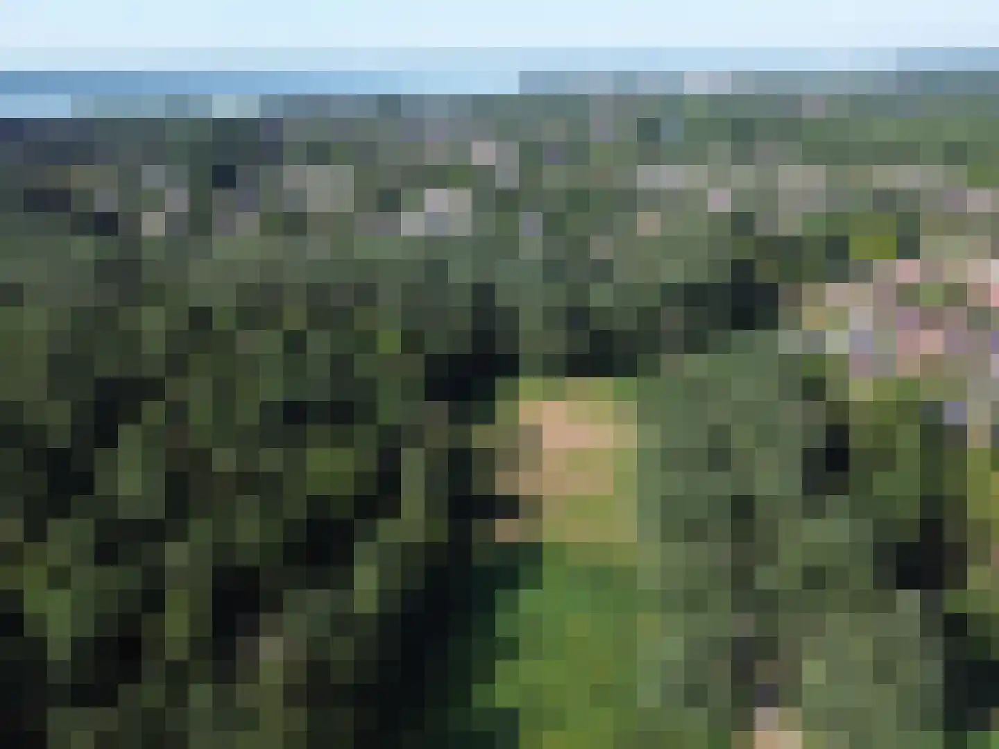 Wilgengriend 29 Almere thumbnail 51