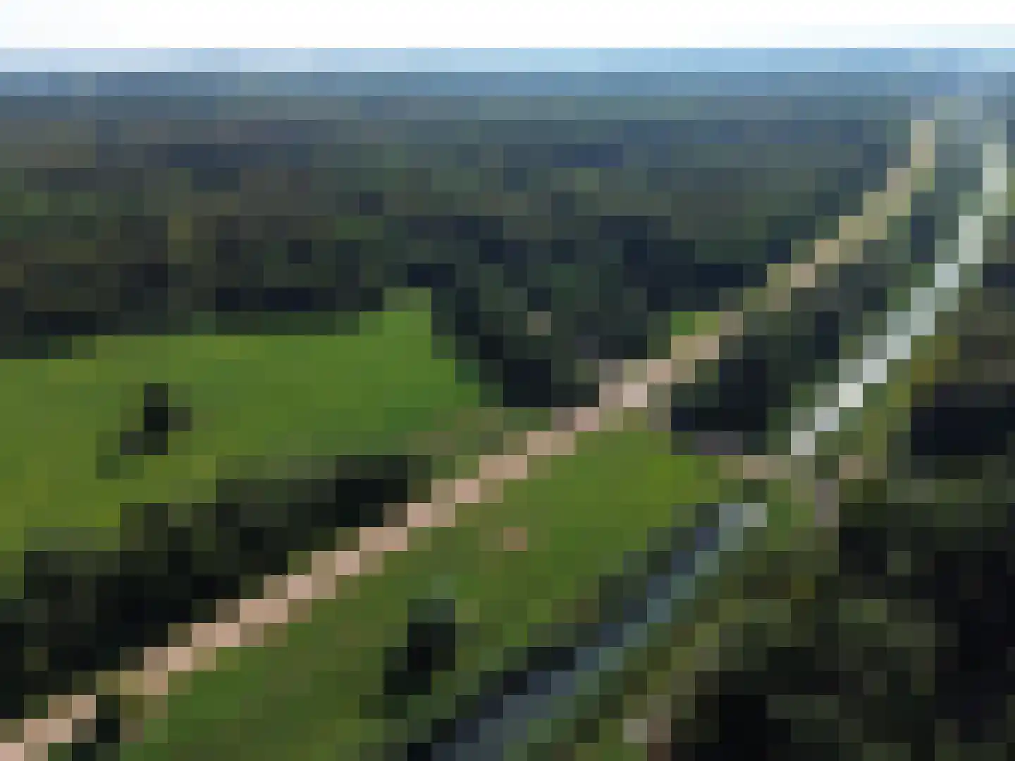 Wilgengriend 29 Almere thumbnail 52