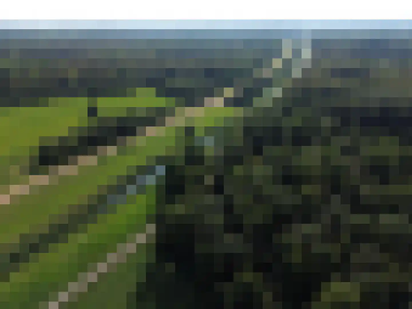 Wilgengriend 29 Almere thumbnail 53
