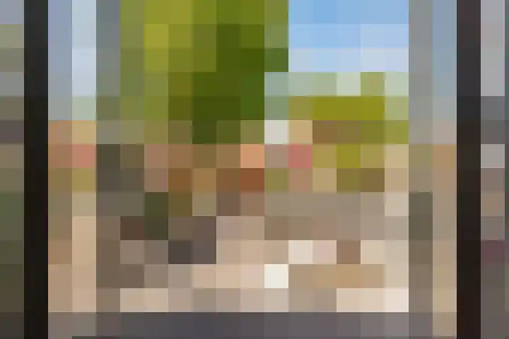 Wilgengriend 44 Almere thumbnail 5