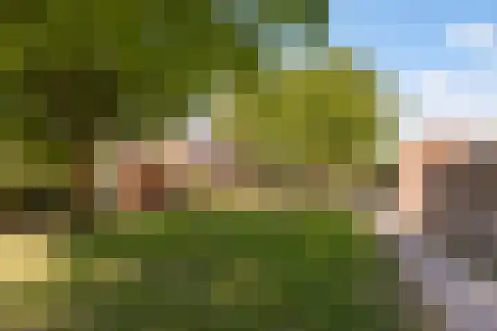 Wilgengriend 44 Almere thumbnail 56