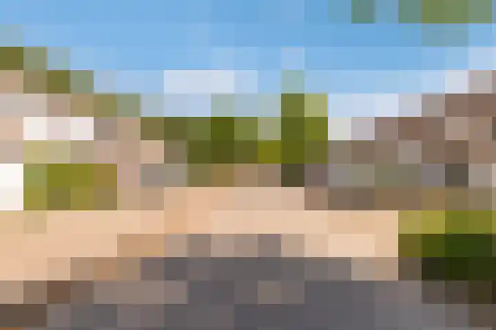 Wilgengriend 44 Almere thumbnail 64
