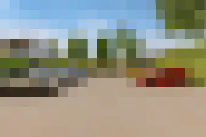 Wilgengriend 44 Almere thumbnail 65