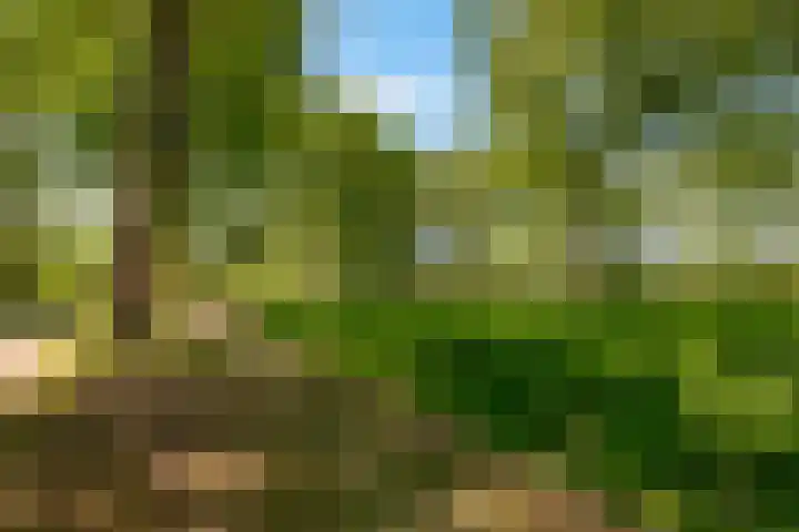 Wilgengriend 44 Almere thumbnail 67