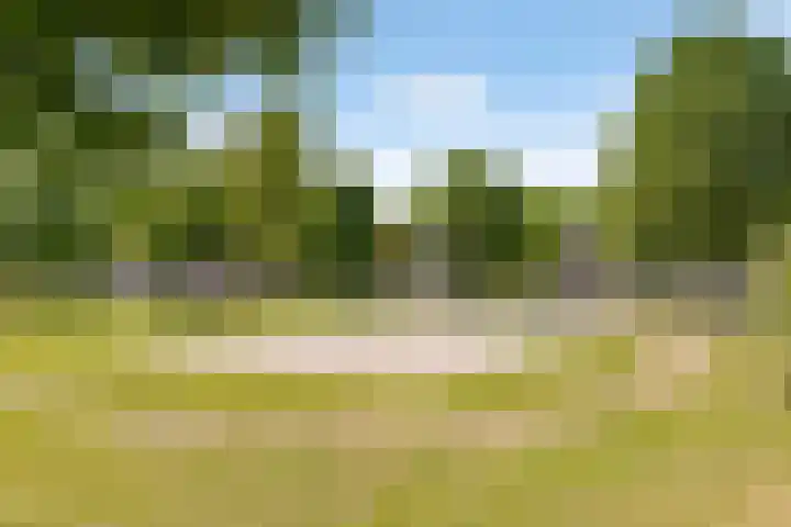 Wilgengriend 44 Almere thumbnail 68