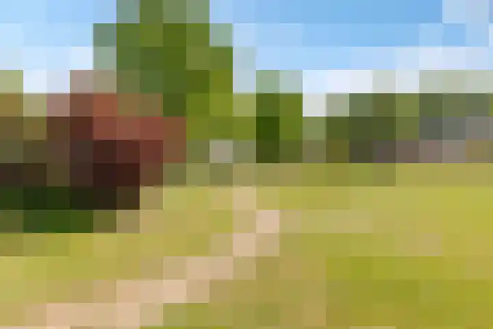 Wilgengriend 44 Almere thumbnail 69