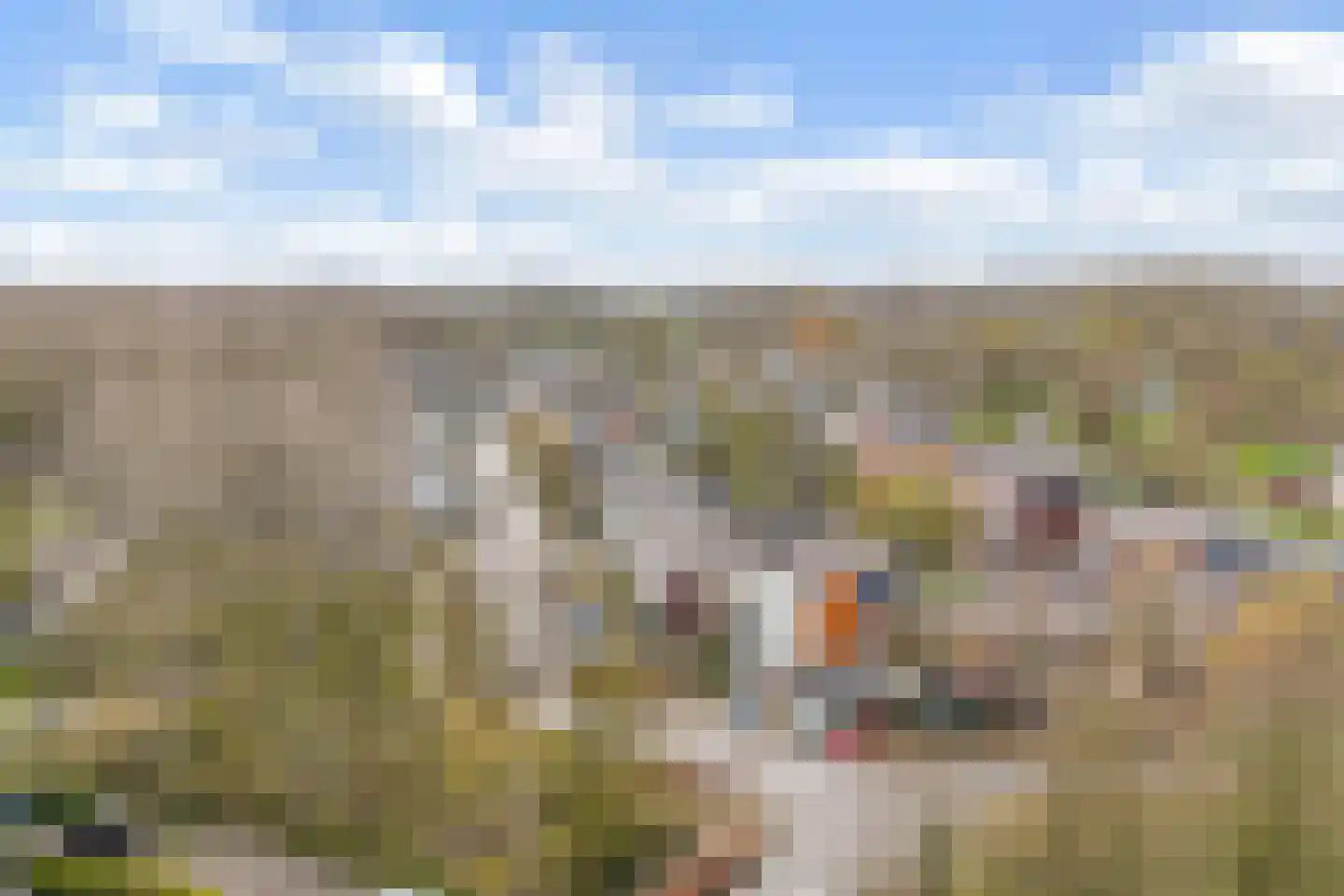 Wilgengriend 9 Almere thumbnail 37
