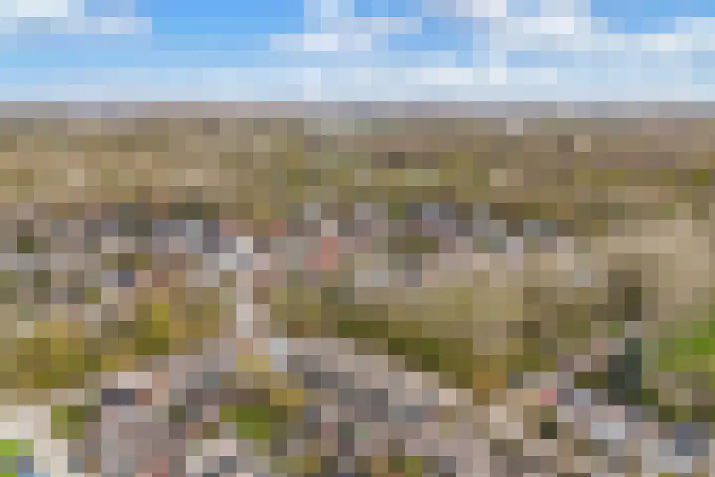 Wilgengriend 9 Almere thumbnail 44
