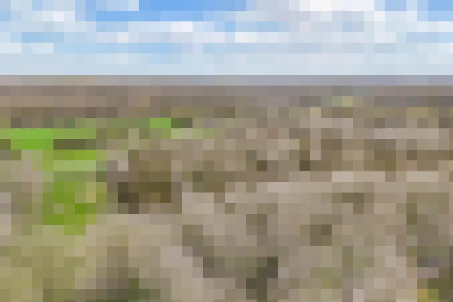 Wilgengriend 9 Almere thumbnail 45