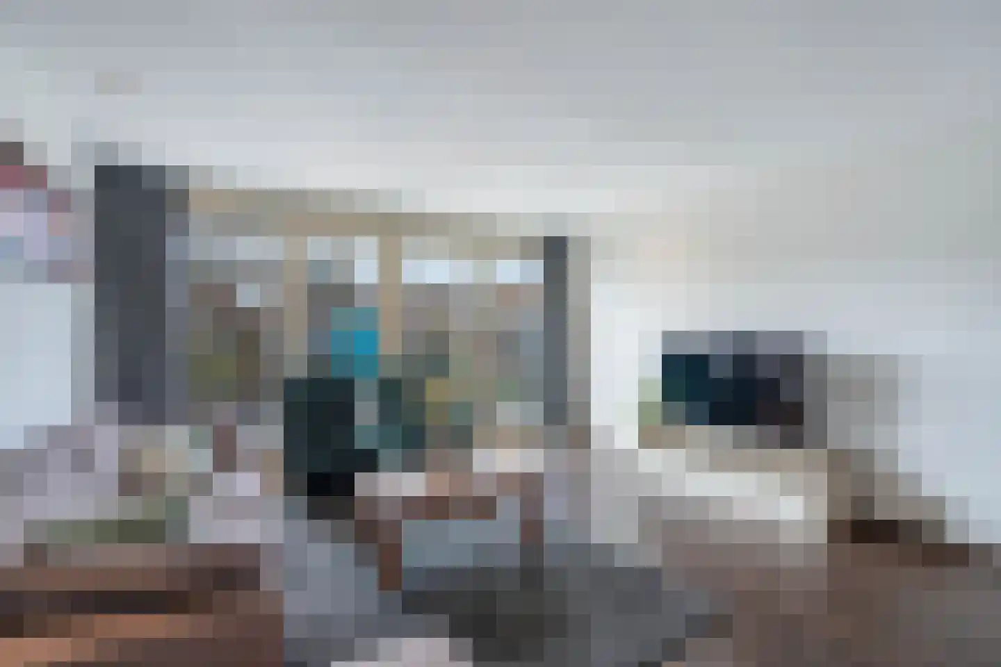 Wilgengriend 9 Almere thumbnail 6