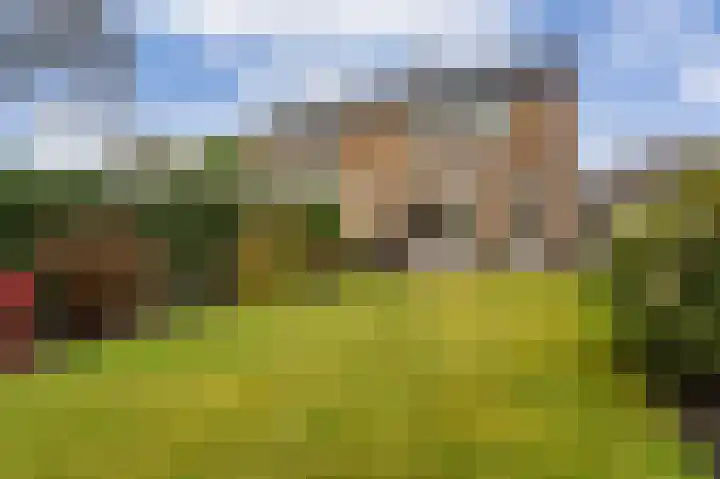 Wilgenhage 17 Stadskanaal thumbnail 32