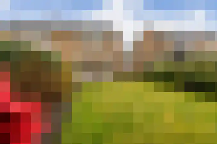 Wilgenhage 17 Stadskanaal thumbnail 35