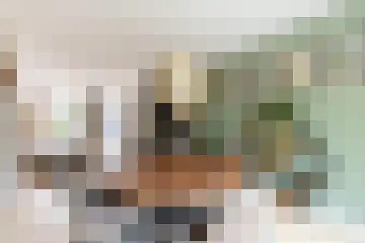 Wilgenhoek 12 Klaaswaal thumbnail 11