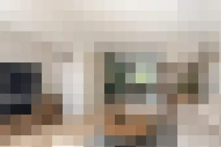 Wilgenhoek 12 Klaaswaal thumbnail 13