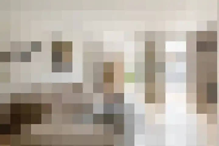 Wilgenhoek 12 Klaaswaal thumbnail 14