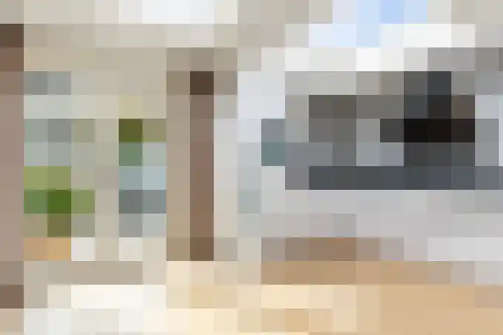 Wilgenhoek 12 Klaaswaal thumbnail 15