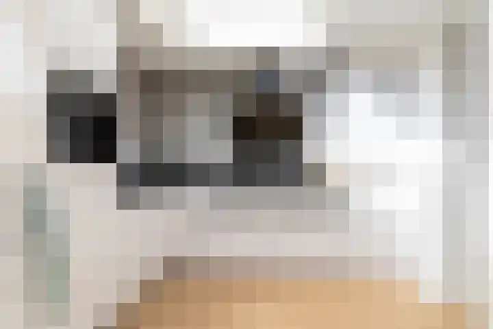 Wilgenhoek 12 Klaaswaal thumbnail 16