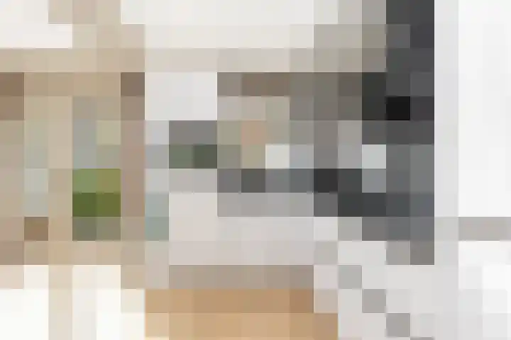 Wilgenhoek 12 Klaaswaal thumbnail 17