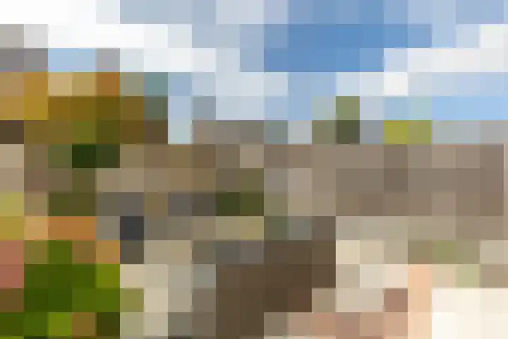 Wilgenhoek 12 Klaaswaal thumbnail 20