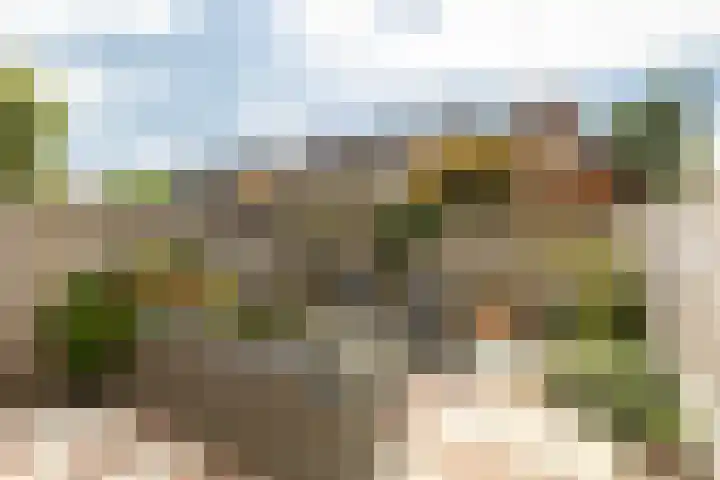 Wilgenhoek 12 Klaaswaal thumbnail 21