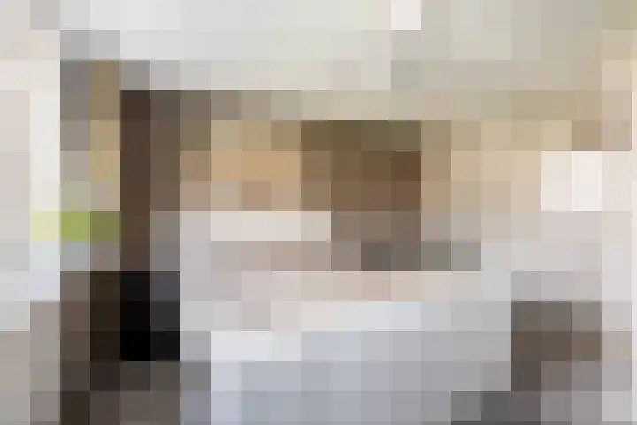 Wilgenhoek 12 Klaaswaal thumbnail 24