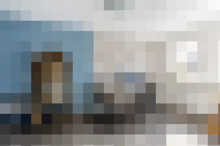 Wilgenhoek 12 Klaaswaal thumbnail 25