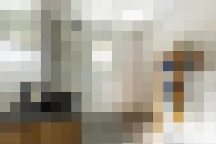 Wilgenhoek 12 Klaaswaal thumbnail 27
