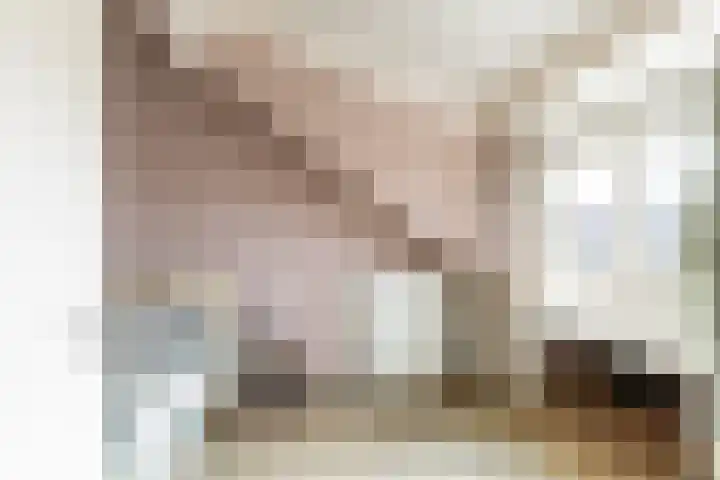 Wilgenhoek 12 Klaaswaal thumbnail 30
