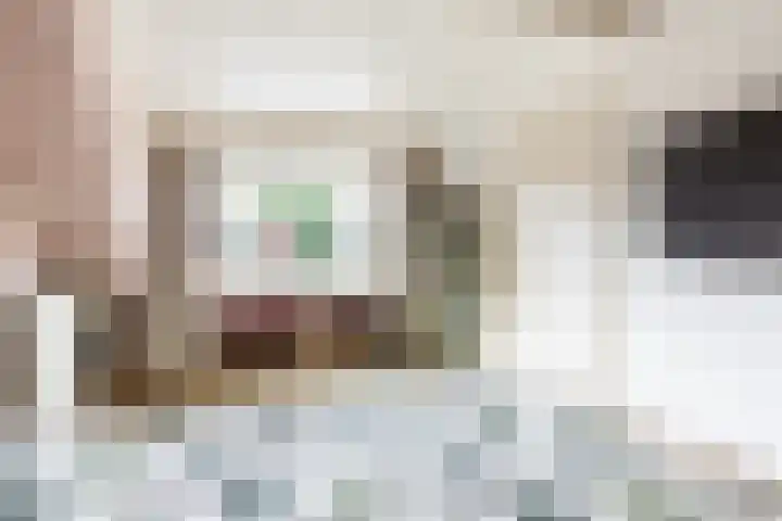 Wilgenhoek 12 Klaaswaal thumbnail 32