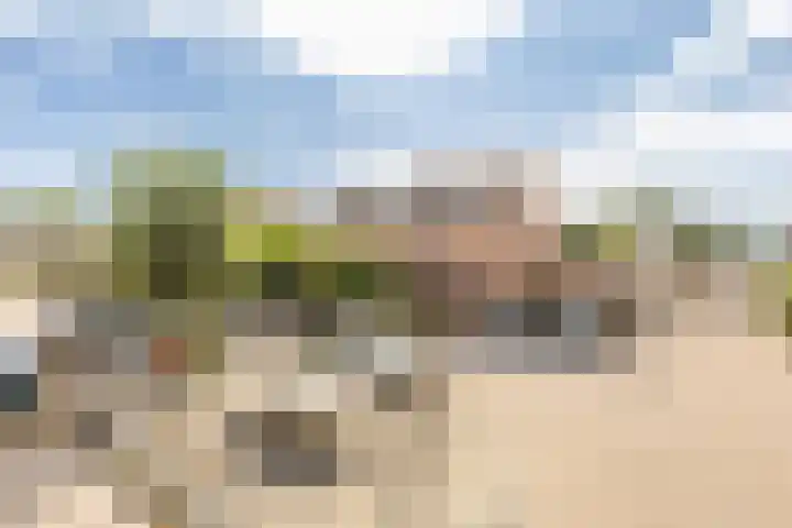 Wilgenhoek 12 Klaaswaal thumbnail 4