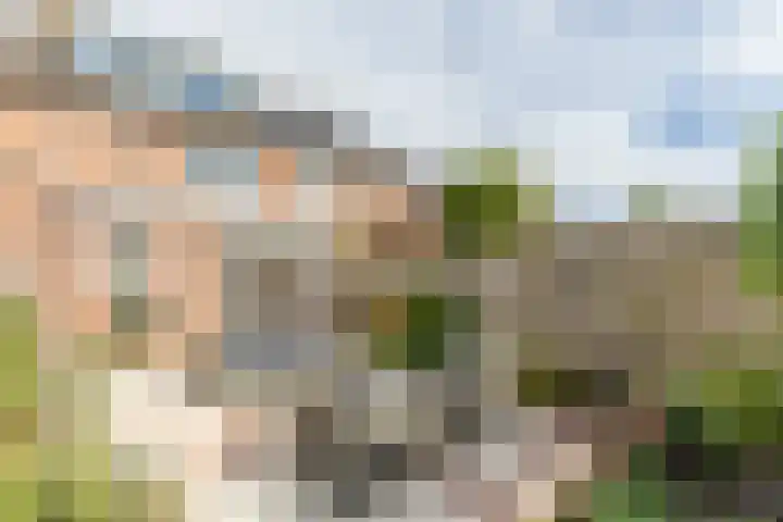 Wilgenhoek 12 Klaaswaal thumbnail 5
