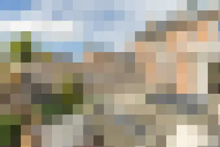 Wilgenhoek 12 Klaaswaal thumbnail 6