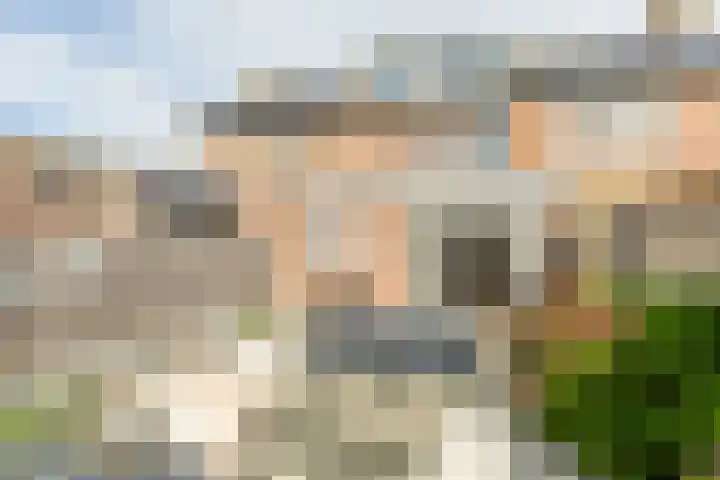 Wilgenhoek 12 Klaaswaal thumbnail 7