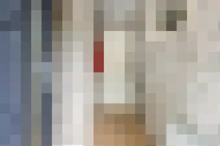 Wilgenhoek 12 Klaaswaal thumbnail 9