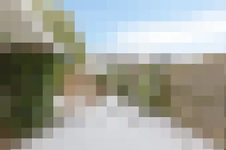Wilgenhoek 20 Zevenaar thumbnail 20