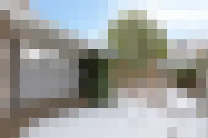 Wilgenhoek 20 Zevenaar thumbnail 21