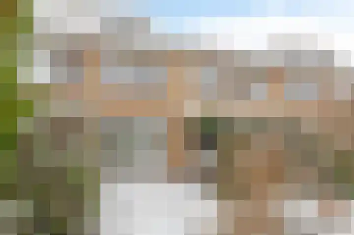 Wilgenhoek 20 Zevenaar thumbnail 23
