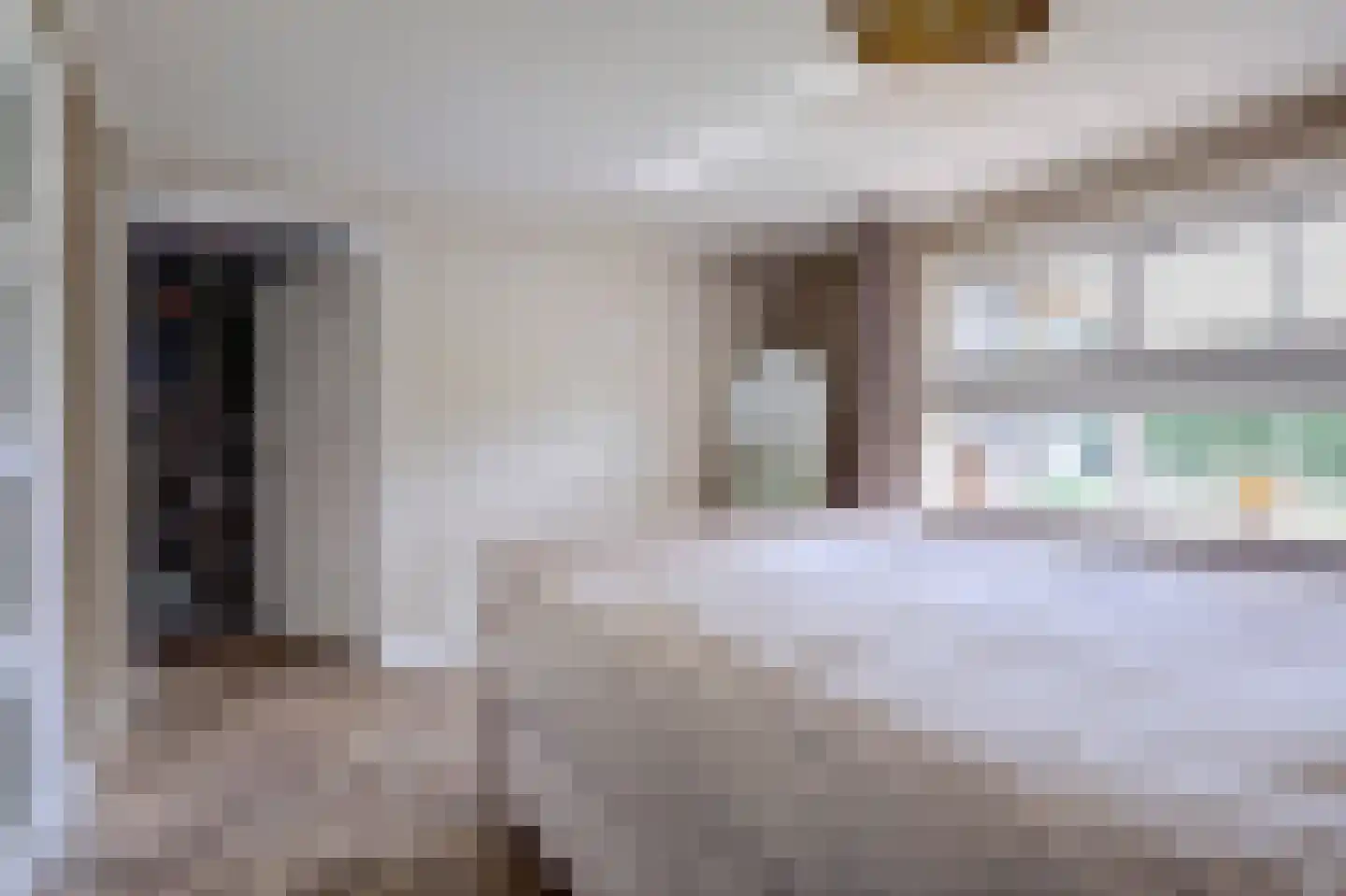 Wilgenhoek 21 Vroomshoop thumbnail 10