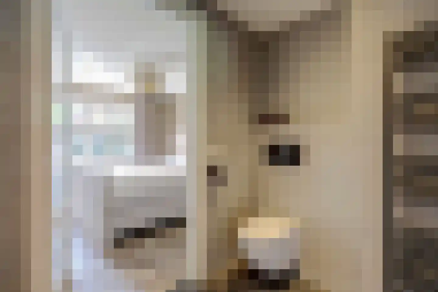 Wilgenhoek 21 Vroomshoop thumbnail 11