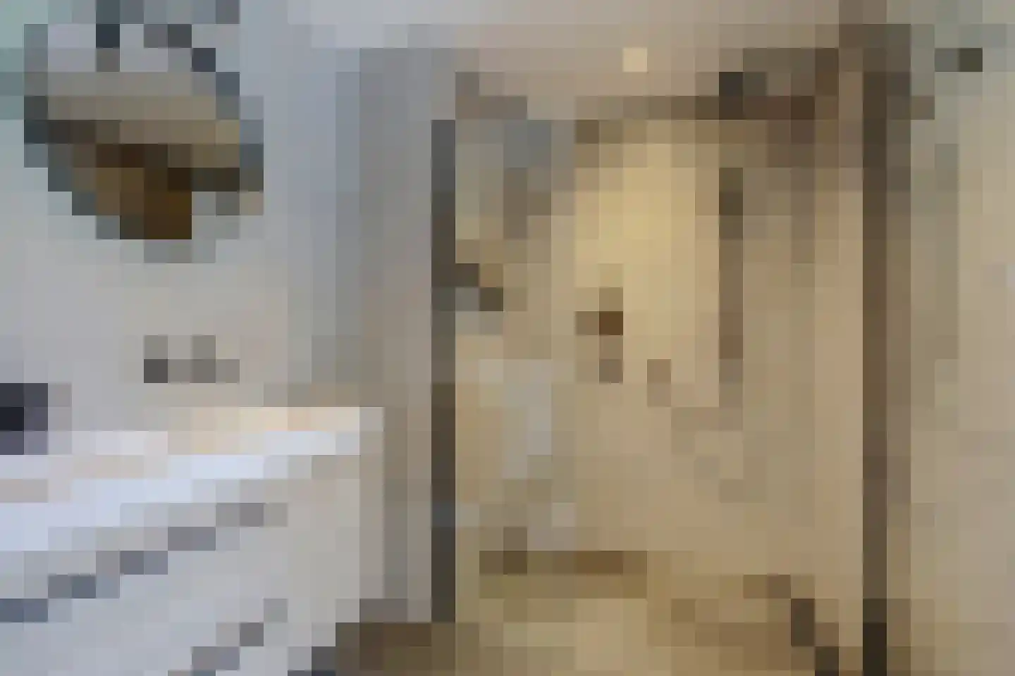 Wilgenhoek 21 Vroomshoop thumbnail 12