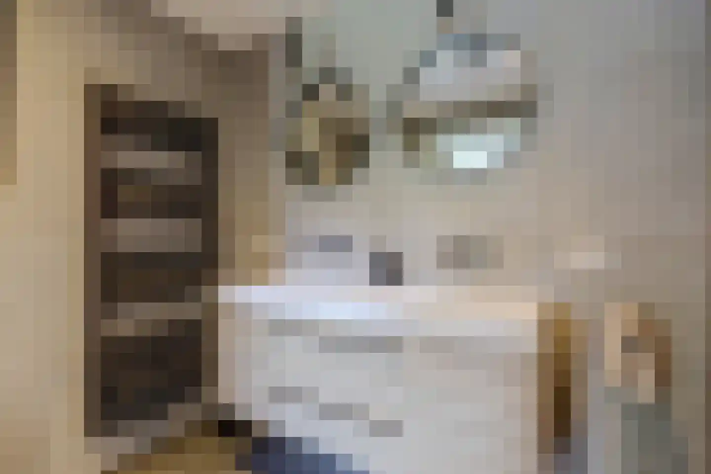 Wilgenhoek 21 Vroomshoop thumbnail 13