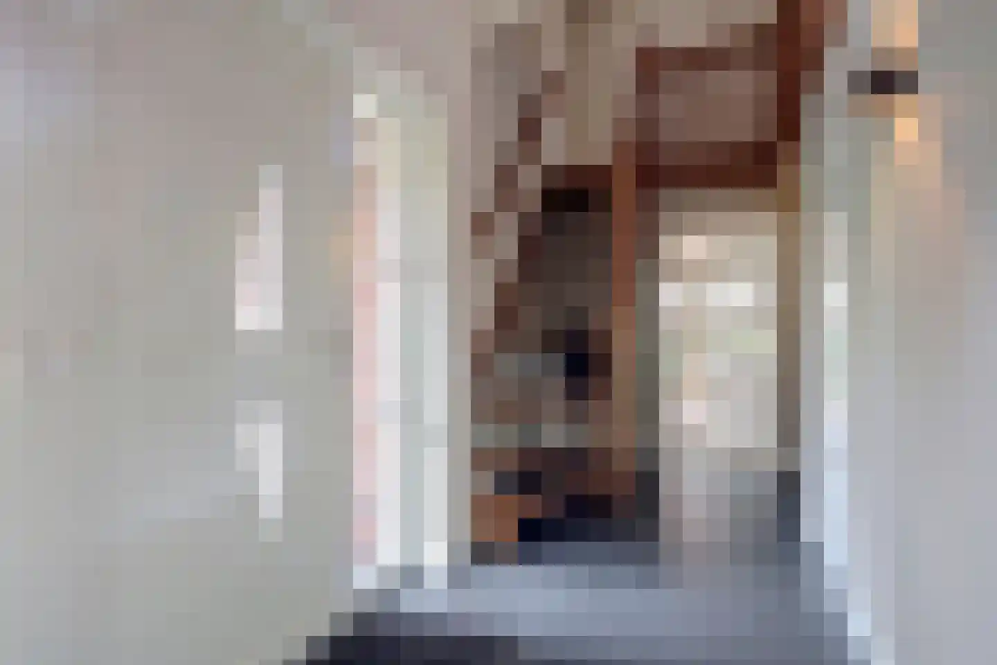 Wilgenhoek 21 Vroomshoop thumbnail 14